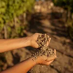 Farm stay Per Caso *