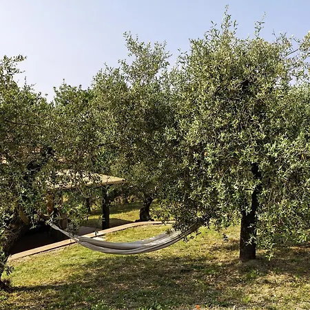 Alojamento de Turismo Rural Per Caso *